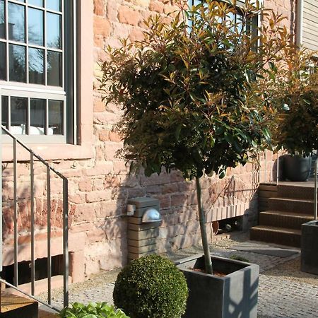 Junior Suite The Backyard Tby 01 Trier Exterior photo